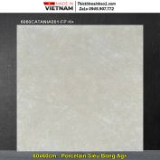 Gạch 60x60 Đồng Tâm 6060CATANIA001-FP-H+