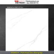 Gạch 60x60 Đồng Tâm 6060SICILY001-FP-H+