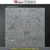 Gạch 80x80 Đồng Tâm 8080BARI004-H+