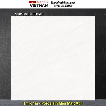 Gạch 1m x 1m Đồng Tâm 100MOMENT001-H+