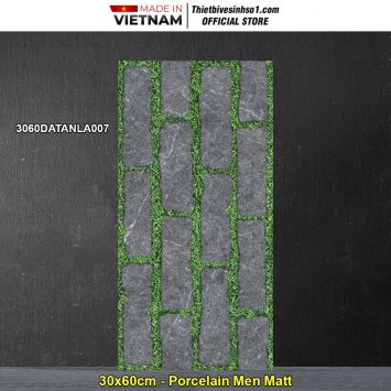 Gạch 30x60 Đồng Tâm 3060DATANLA007