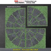 Gạch 40x40 Đồng Tâm 4040PONGOUR002