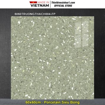 Gạch 60x60 Đồng Tâm 6060TRUONGTHACH004-FP