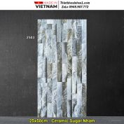 Gạch Ốp Trang Trí 25x50 Hồng Hà 2503