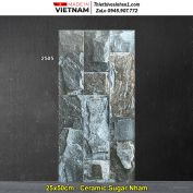 Gạch Ốp Trang Trí 25x50 Hồng Hà 2505