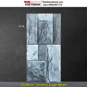 Gạch Ốp Trang Trí 25x50 Hồng Hà 2516