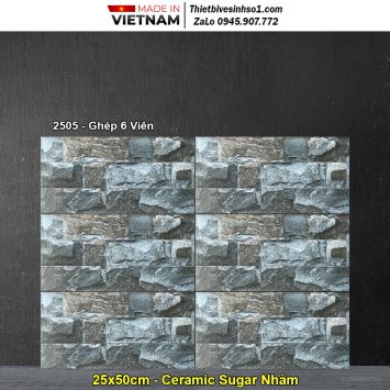 Gạch Ốp Trang Trí 25x50 Hồng Hà 2505