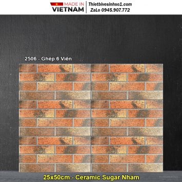 Gạch Ốp Trang Trí 25x50 Hồng Hà 2506