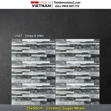 Gạch Ốp Trang Trí 25x50 Hồng Hà 2507