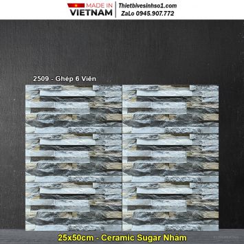 Gạch Ốp Trang Trí 25x50 Hồng Hà 2509