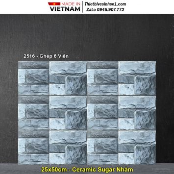 Gạch Ốp Trang Trí 25x50 Hồng Hà 2516