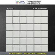 Gạch Mosaic Gốm MGTT015