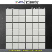 Gạch Mosaic Gốm MGTT016