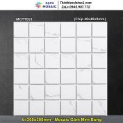 Gạch Mosaic Gốm MGTT053