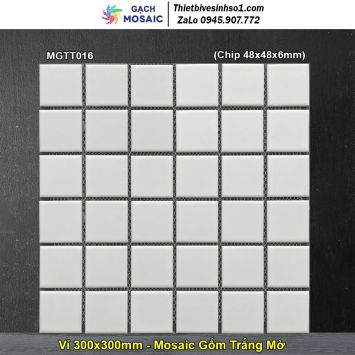 Gạch Mosaic Gốm MGTT016