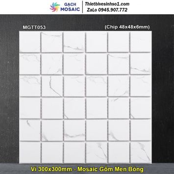 Gạch Mosaic Gốm MGTT053