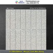 Gạch Mosaic Gốm MGTT050