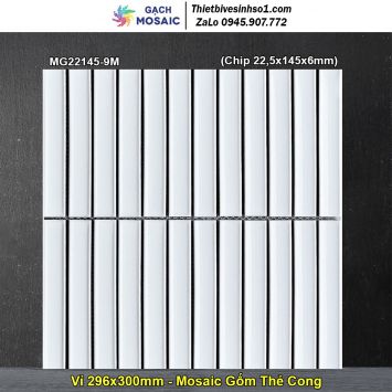 Gạch Mosaic Gốm MG22145-9M