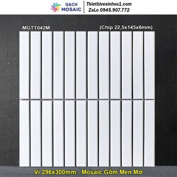 Gạch Mosaic Gốm MGTT042M