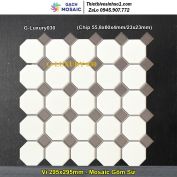 Gạch Mosaic Gốm G-Luxury030