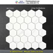 Gạch Mosaic Gốm MGTT032