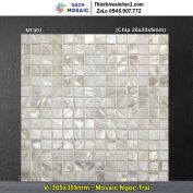Gạch Mosaic Ngọc Trai NT001