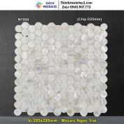 Gạch Mosaic Ngọc Trai NT008