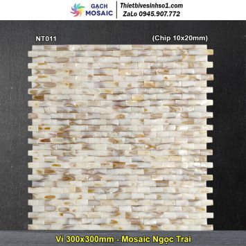 Gạch Mosaic Ngọc Trai NT011