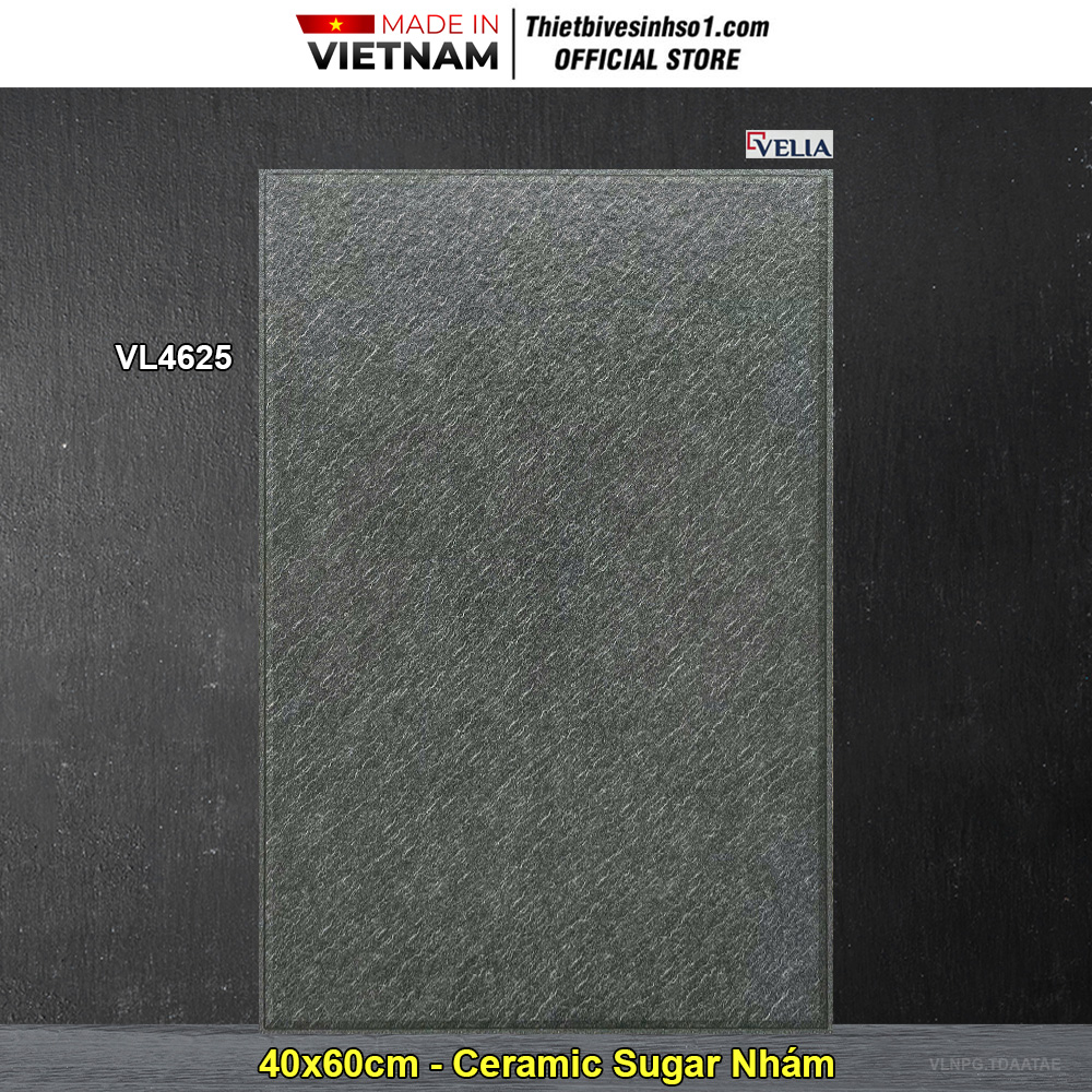 Gạch 40x60 NPG VL4625 Lát Sân