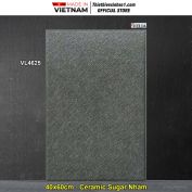 Gạch 40x60 NPG VL4625 Lát Sân