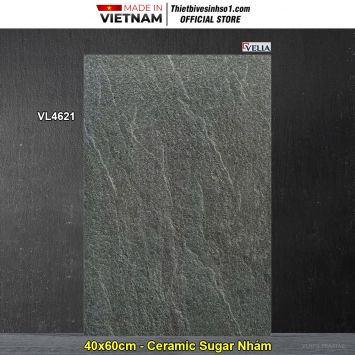Gạch 40x60 NPG VL4621 Lát Sân