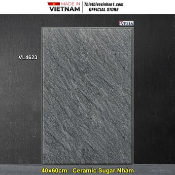 Gạch 40x60 NPG VL4623 Lát Sân