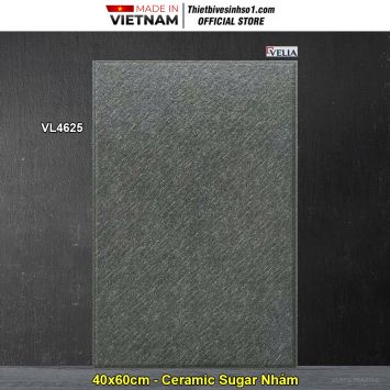 Gạch 40x60 NPG VL4625 Lát Sân