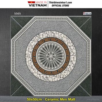 Gạch 50x50 NPG 5505 Lát Sân