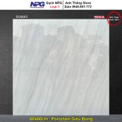 Gạch 60x60 NPG SG6602 Sọc Xám