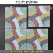 Gạch Bông Terrazzo 20x20 Secoin TE2-647-B