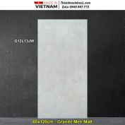 Gạch 60x120 Taicera G12L13JW Vân Xám
