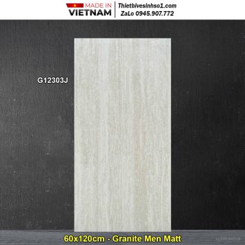 Gạch 60x120 Taicera G12303J Sọc Dưa