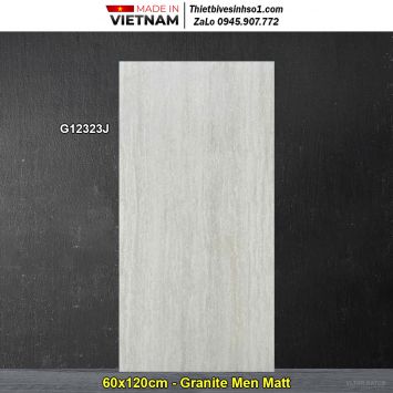 Gạch 60x120 Taicera G12323J Sọc Dưa