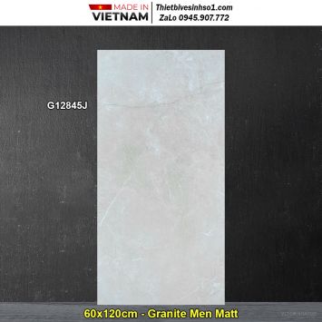 Gạch 60x120 Taicera G12845J Vân Xám