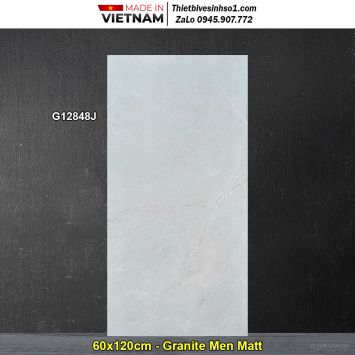 Gạch 60x120 Taicera G12848J Vân Xám