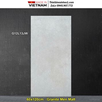 Gạch 60x120 Taicera G12L13JW Vân Xám