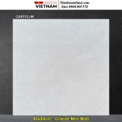Gạch 80x80 Taicera G88P22JM Vân Xám