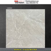 Gạch 90x90 Taicera G90904 Vân Xám