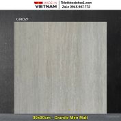Gạch 90x90 Taicera G98321 Vân Xám