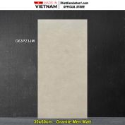 Gạch 30x60 Taicera G63P23JM