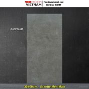 Gạch 30x60 Taicera G63P28JM