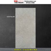 Gạch 30x60 Taicera G63P38JM