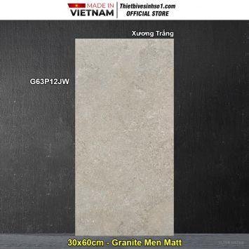 Gạch 30x60 Taicera G63P12JW