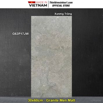 Gạch 30x60 Taicera G63P17JW